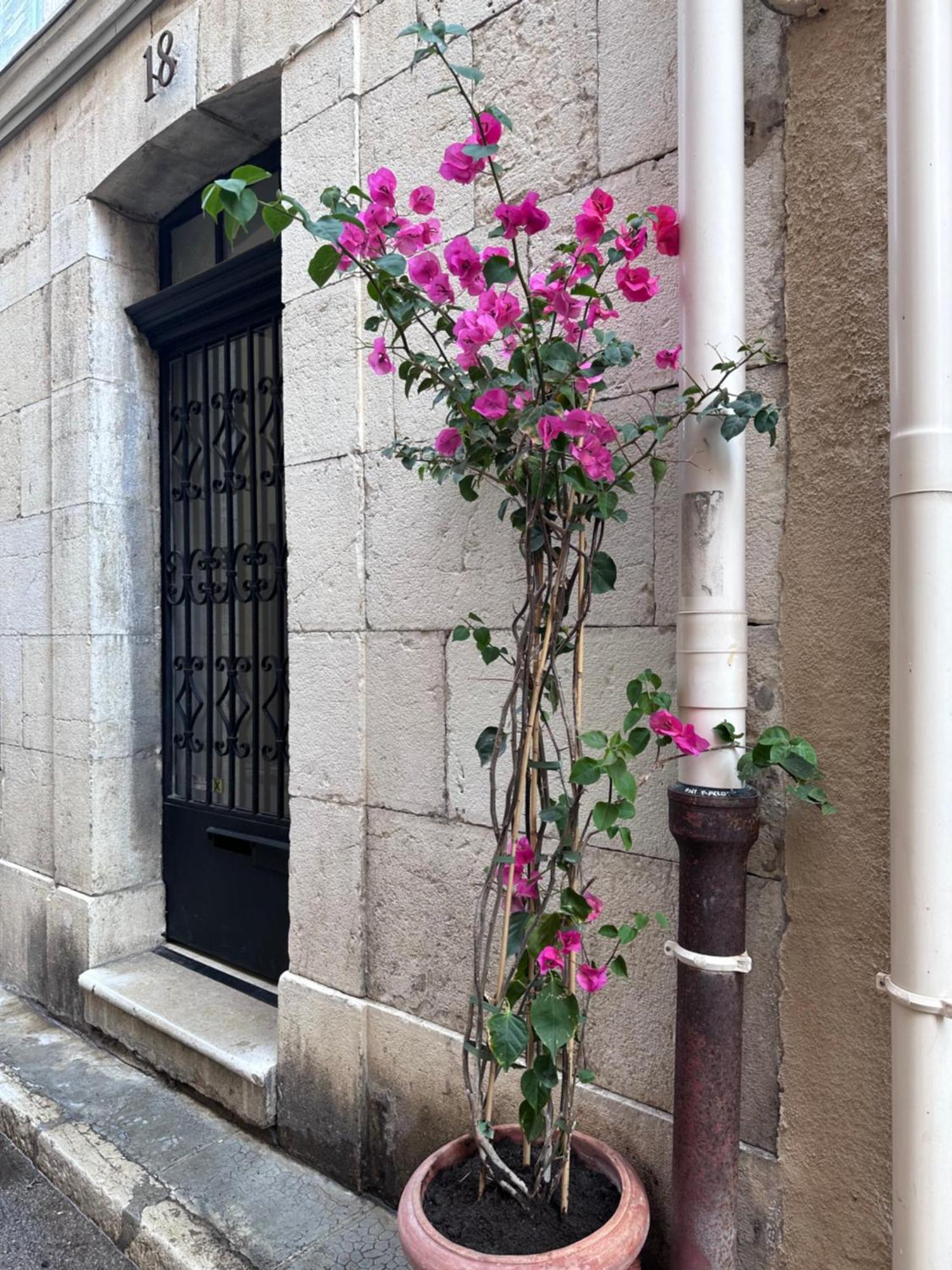 L Appartement De Manon, Centre Historique Du Vieil อองทีบส์ ภายนอก รูปภาพ